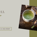MATCHA workshop