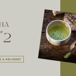 MATCHA workshop 2.