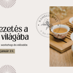 Bevezetés a teák világába
