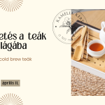 Bevezetés a teák világába