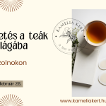 Bevezetés a teák világába-Szolnokon
