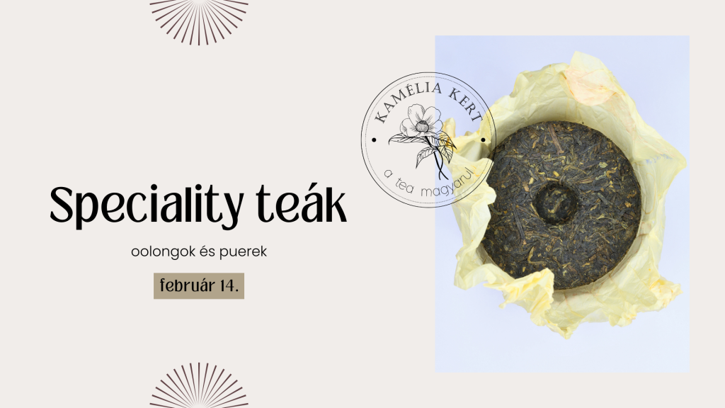 kamélia kert teaworkshop