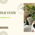 Teacserje vásár a Tavaszkerten