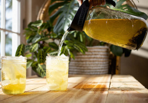 cold brew tea kamélia kert