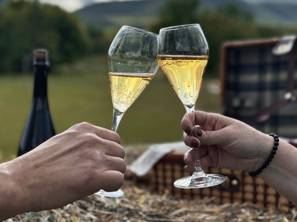 kamélia kert sparkling tea