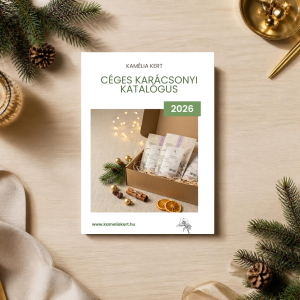 Céges karácsonyi katalógus
