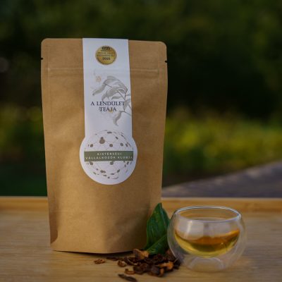 lendulet teaja_kicsi